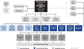 Appendix A Organizational Chart For Usaid The Role Of
