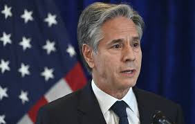 Firefighter Adopts Dog Found Lost at Mendocino Complex Fire