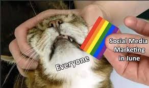 The time of year when the lgbtq community comes together to proudly and. Lgbtq Pride Month Funny Memes Funny Pictures Memes