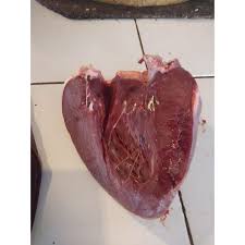 Cara merebus daging sapi agar tekstur empuk. Jantung Sapi Shopee Indonesia