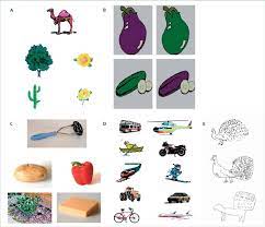 The world's first blood test to predict alzheimer's disease before symptoms occur has been developed. Tests Of Non Verbal Semantic Knowledge Developed In Cambridge Uk For Download Scientific Diagram