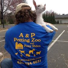Serving all of new jersey. A P Petting Zoo And Pony Rides Home Facebook
