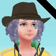 How to apply for a handicap parking spot in front of my house in Fall River?