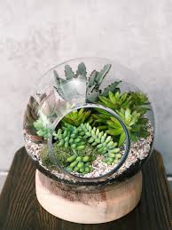 Penyiraman tanaman kaktus lebih sedikit dibandingkan jenis tanaman lain maka. 11 Desain Terrarium Yang Memperindah Rumahmu