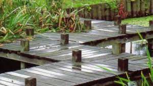 Check spelling or type a new query. Diy Build Japanese Garden Bridge Youtube