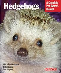 Turner, journalist specialized in animal welfare. Hedgehogs Complete Pet Owner S Manuals Vanderlip D V M Sharon 9780764144394 Amazon Com Books
