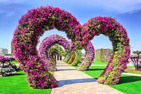 Check spelling or type a new query. Warna Warni 45 Juta Bunga Menghiasi Taman Bunga Ini Money Id