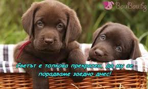 images?q=tbn:ANd9GcR7CJbcuzZUZ3pCAs8FA04