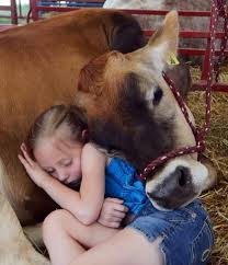 Animal Free Eats 5 Vegetarian And Vegan Friendly Restaurants In Atlanta Animals Cute Animals Animals Beautiful