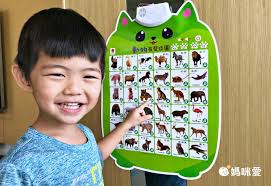 全方面學習【双美生活文創】BABY認知點讀掛圖本| 限時團購| 媽咪愛