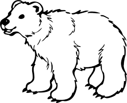 The formal name is kermode bear. Bear Black And White White Bear Clipart Wikiclipart