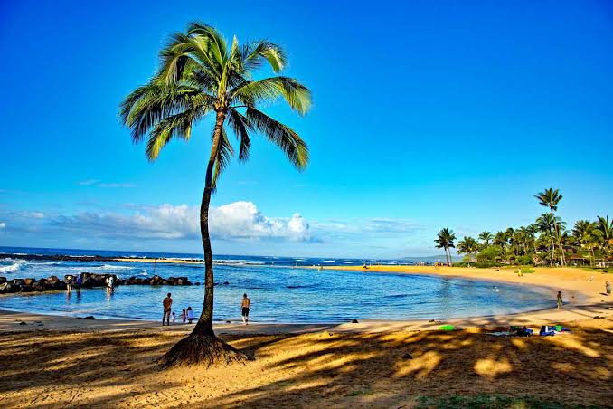 Poipu Beach Park, Koloa, Kauai, HI: Complete 2026 Visitor Guide