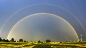 +49(0) 69 967 591 44. Finde Einen Regenbogen Tag Zdfheute