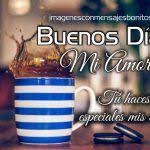 Mensajes De Amor Para Mi Pareja De Buenos Dias Amor Buenos Dias Amor Frases De Buenos Dias Mensajes De Buenos Dias
