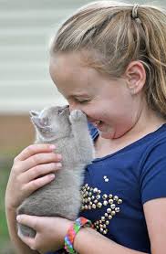 110 Pussycat Kitty Best Stock Photos