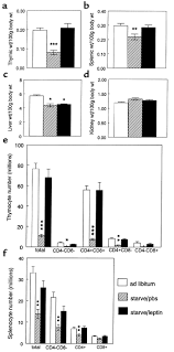 How long does it take for mice to starve? Jci Leptin Protects Mice From Starvation Induced Lymphoid Atrophy And Increases Thymic Cellularity In Ob Ob Mice