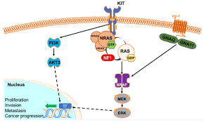 While there are a number of hereditary related cancers, the conditions focused on include: Clinical And Therapeutic Implications Of Melanoma Genomics