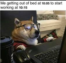 That S Literally Me Attending The Zoom Meetings Everyday Tag A Person Who Does This Follow Packetcode Fol Funny Dog Memes Dog Memes Funny Animal Memes