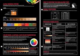 Colorinsider Matrix Color Chart Art On Chart Paper Hair