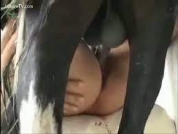 Horny females having sex with a horse - LuxureTV