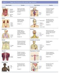 Body Organs Systems Charts Anatomy Posters And Anatomy Charts