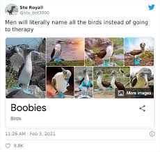 Their birth place was indiana, west baden 28 Bird Species With The Silliest Names Ever Bored Panda