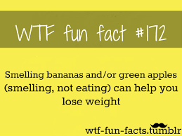 Not Found Funny Facts Wtf Fun Facts Fun Facts