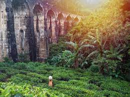 Maldives Sri Lanka And Egypt Removed From Foreign Office No Go List The Independent