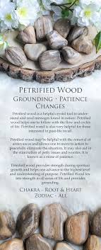 Petrified Wood Crystal Tumbled Stone Polished Stone Etsy Crystals Petrified Wood Spiritual Crystals