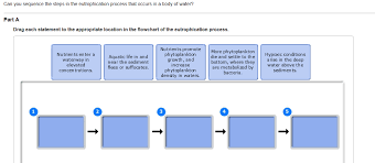 Solved Can You Sequence The Steps In The Eutrophication P