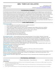 resume sr. business analyst