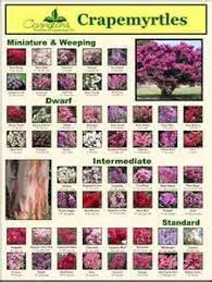 Maybe you would like to learn more about one of these? 900 My Secret Garden Ideas Garden Outdoor Gardens Plants