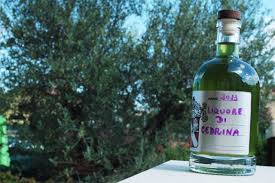 La cedrina o erba luisa, dalle foglie di un tenero verde che sprigionano un'intenso aroma di limone, è un'altro dei ricordi olfattivi del mio giardino. Liquore Di Erba Cedrina Veganblog Ricette E Prodotti Dal Mondo Vegan