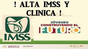 ✅ actual logo del gobierno de méxico y bienestar del período de amlo en. Alta Imss Y Clinica Umf Jovenes Construyendo El Futuro Youtube