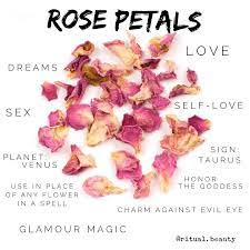 Rose Petal Magic Herbal Witch Magic Herbs Witchcraft Herbs