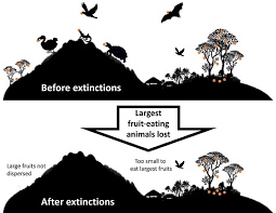 Does It Really Matter If One Animal Goes Extinct