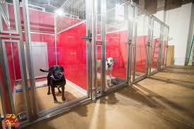 Search by rates, reviews, experience, and more! Overnight Dog Kennels Off 77 Online Shopping Site For Fashion Lifestyle