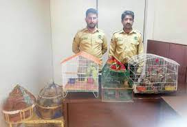 Pet shop near me birds. Valuable Birds Confiscated From Pet Stores In Islamabad Newspaper Dawn Com