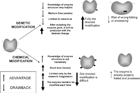 Production of gmos is a multistage process which can be summarized as follows: Chemical Modification Versus Genetic Modification Download Scientific Diagram