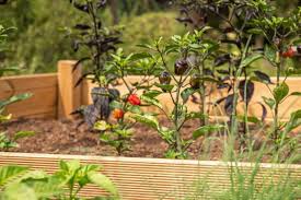 Dieses ist wichtig, da von dort aus das wasser erneut in den bachlauf gepumpt wird. Hochbeet Fur Den Garten Selbst Anlegen