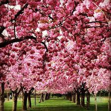 Pin On Nature