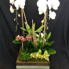 We did not find results for: Sympathy And Funeral Flowers Delivery Tarzana Flowers And Designs By Gina