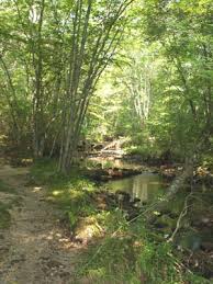 Check spelling or type a new query. Hike New England Stepstone Falls Via Ben Utter Trail