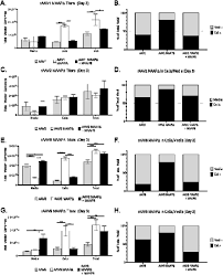 Image result for Black 1997 AAV