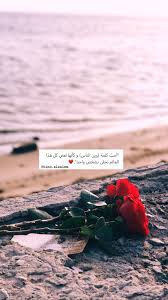 pin on صور احترافيه