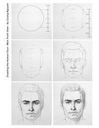 Male Face Portrait Proportion Training Front View Easy Drawing Face Drawing Reference Drawing People Pencil Drawings Easy