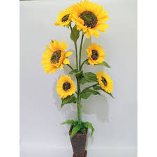 Bunga matahari jumbo memerlukan pot yang bisa menampung media tanam sebanyak minimal 20 liter. Harga Bunga Jumbo Plastik Dan Promo Terbaru Maret 2021 Biggo Situs Perbandingan Harga