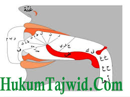 Jan 31, 2020 · menurut muhammad mahmud, hukum mempelajari ilmu tajwid adalah fardu kifayah (wajib representatif), yaitu kewajiban yang boleh diwakilkan oleh sebagian orang muslim saja, namun praktik pengamalannya fardu ain (wajib personal), yaitu kewajiban yang harus dilakukan oleh seluruh pembaca al quran. Pengertian Makhorijul Huruf Menurut Bahasa Dan Isilah Lengkap Ilmu Tajwid Lengkap