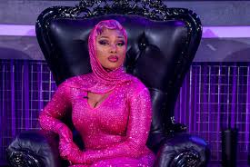 Who is megan thee stallion? Megan Thee Stallion Shot Legendary Judge Recovering Tvline
