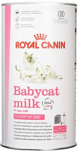 O melhor site de rock e heavy metal; Royal Canin 55195 Babycat Milk 300g Pulver Katzenfutter Amazon De Haustier
